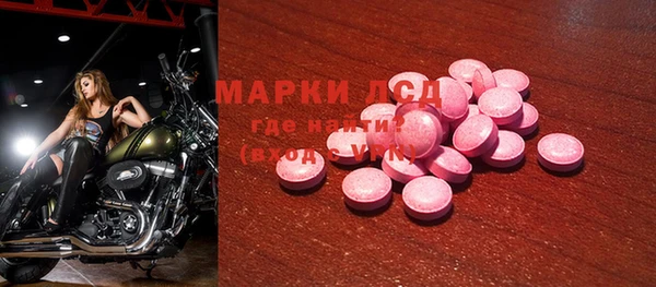 ECSTASY Алзамай