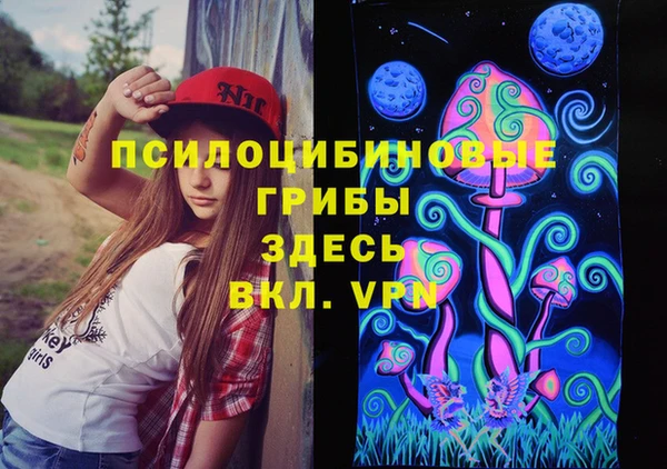 бошки Алексин