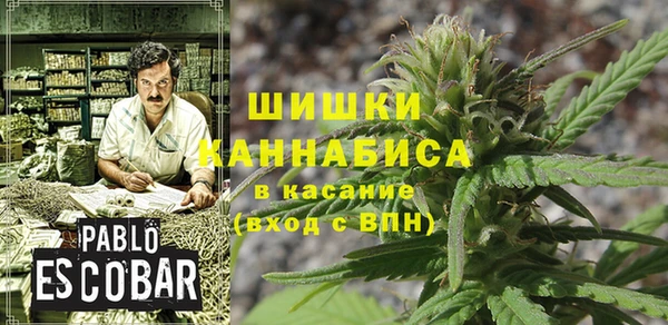бошки Алексин