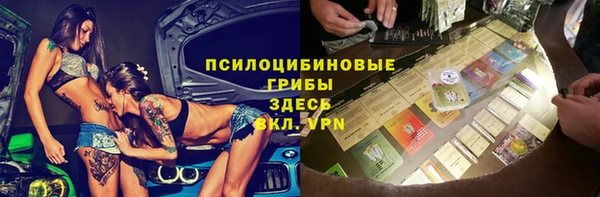 ECSTASY Алзамай